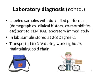 Laboratory diagnosis (contd.)
• Labeled samples with duly filled performa
(demographics, clinical history, co-morbidities,
etc) sent to CENTRAL laboratory immediately.
• In lab, sample stored at 2-8 Degree C.
• Transported to NIV during working hours
maintaining cold chain
10
 