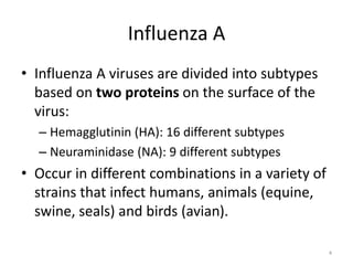 Influenza A
• Influenza A viruses are divided into subtypes
based on two proteins on the surface of the
virus:
– Hemagglutinin (HA): 16 different subtypes
– Neuraminidase (NA): 9 different subtypes
• Occur in different combinations in a variety of
strains that infect humans, animals (equine,
swine, seals) and birds (avian).
4
 