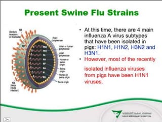 SWINE FLU virus and its origin influenza | PPT