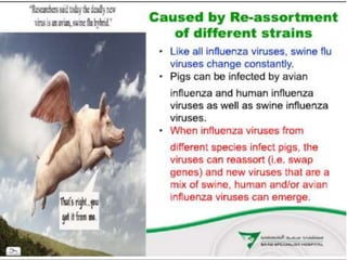 SWINE FLU virus and its origin influenza | PPT