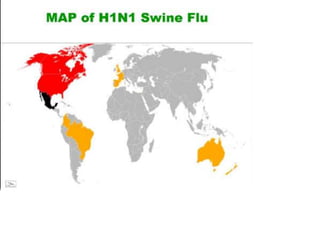 SWINE FLU virus and its origin influenza | PPT