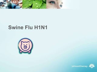 Swine Flu H1N1 