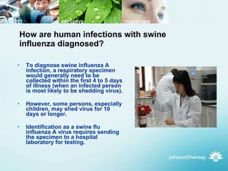 How are human infections with swine influenza diagnosed? To diagnose swine influenza A infection, a respiratory specimen would generally need to be collected within the first 4 to 5 days of illness (when an infected person is most likely to be shedding virus).  However, some persons, especially children, may shed virus for 10 days or longer.  Identification as a swine flu influenza A virus requires sending the specimen to a hospital laboratory for testing.   