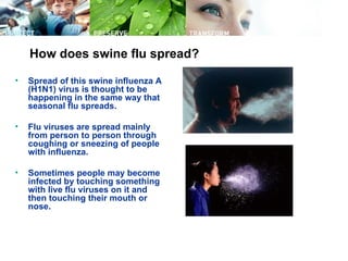 How does swine flu spread?

•   Spread of this swine influenza A
    (H1N1) virus is thought to be
    happening in the same way that
    seasonal flu spreads.

•   Flu viruses are spread mainly
    from person to person through
    coughing or sneezing of people
    with influenza.

•   Sometimes people may become
    infected by touching something
    with live flu viruses on it and
    then touching their mouth or
    nose.
 