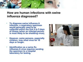 How are human infections with swine
influenza diagnosed?

•   To diagnose swine influenza A
    infection, a respiratory specimen
    would generally need to be
    collected within the first 4 to 5 days
    of illness (when an infected person
    is most likely to be shedding virus).

•   However, some persons, especially
    children, may shed virus for 10
    days or longer.

•   Identification as a swine flu
    influenza A virus requires sending
    the specimen to a hospital
    laboratory for testing.
 