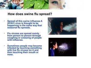 How does swine flu spread?
• Spread of this swine influenza A
(H1N1) virus is thought to be
happening in the same way that
seasonal flu spreads.
• Flu viruses are spread mainly
from person to person through
coughing or sneezing of people
with influenza.
• Sometimes people may become
infected by touching something
with live flu viruses on it and
then touching their mouth or
nose.
 