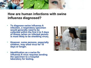 How are human infections with swine
influenza diagnosed?
• To diagnose swine influenza A
infection, a respiratory specimen...