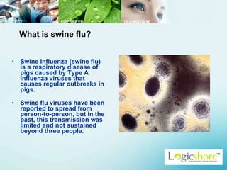 What is swine flu? Swine Influenza (swine flu) is a respiratory disease of pigs caused by Type A influenza viruses that causes regular outbreaks in pigs.  Swine flu viruses have been reported to spread from person-to-person, but in the past, this transmission was limited and not sustained beyond three people.   