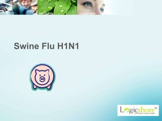 Swine Flu H1N1 