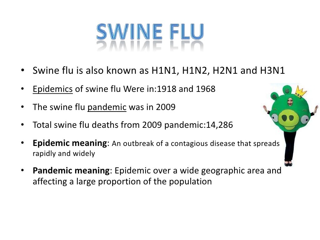Swine flu ppt