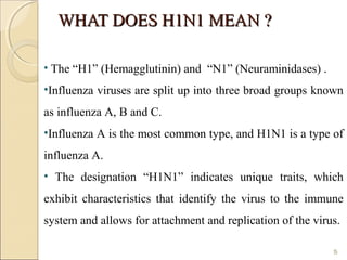 WHAT DOES H1N1 MEAN ?WHAT DOES H1N1 MEAN ?
• The “H1” (Hemagglutinin) and “N1” (Neuraminidases) .
•Influenza viruses are split up into three broad groups known
as influenza A, B and C.
•Influenza A is the most common type, and H1N1 is a type of
influenza A.
• The designation “H1N1” indicates unique traits, which
exhibit characteristics that identify the virus to the immune
system and allows for attachment and replication of the virus.
5
 