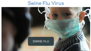 Swine Flu Virus
 