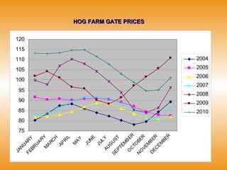 HOG FARM GATE PRICES 