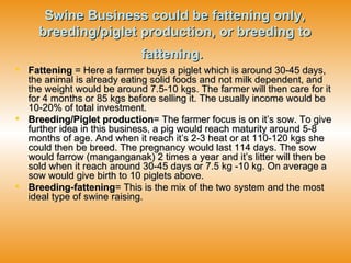 Swine Business could be fattening only, breeding/piglet production, or breeding to fattening.   Fattening  = Here a farmer buys a piglet which is around 30-45 days, the animal is already eating solid foods and not milk dependent, and the weight would be around 7.5-10 kgs. The farmer will then care for it for 4 months or 85 kgs before selling it. The usually income would be 10-20% of total investment. Breeding/Piglet production = The farmer focus is on it’s sow. To give further idea in this business, a pig would reach maturity around 5-8 months of age. And when it reach it’s 2-3 heat or at 110-120 kgs she could then be breed. The pregnancy would last 114 days. The sow would farrow (manganganak) 2 times a year and it’s litter will then be sold when it reach around 30-45 days or 7.5 kg -10 kg. On average a sow would give birth to 10 piglets above. Breeding-fattening = This is the mix of the two system and the most ideal type of swine raising. 