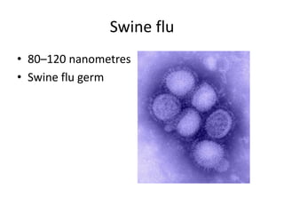 Swine flu80–120 nanometresSwine flu germ