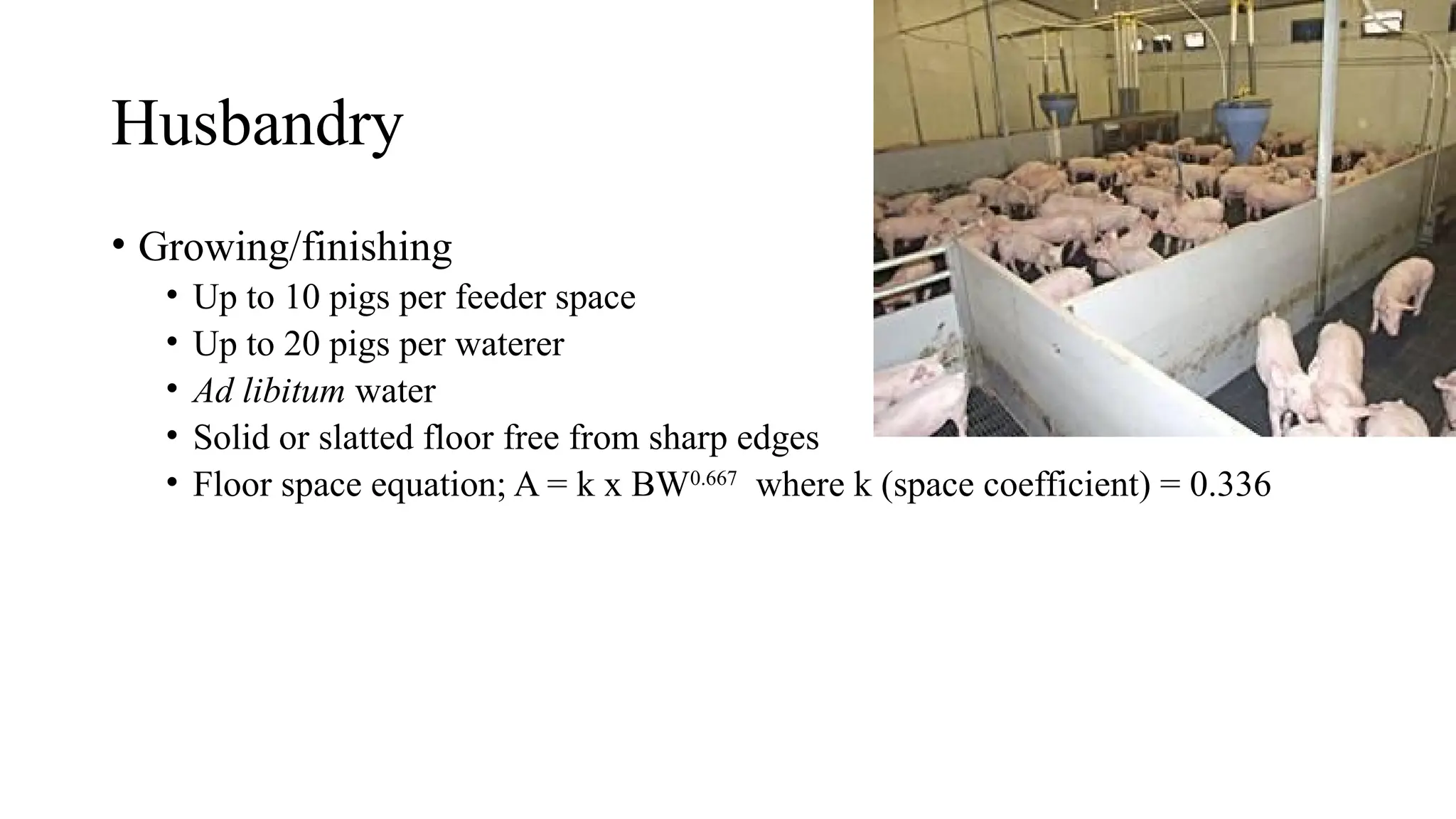 Husbandry
• Growing/finishing
• Up to 10 pigs per feeder space
• Up to 20 pigs per waterer
• Ad libitum water
• Solid or slatted floor free from sharp edges
• Floor space equation; A = k x BW0.667
where k (space coefficient) = 0.336
 