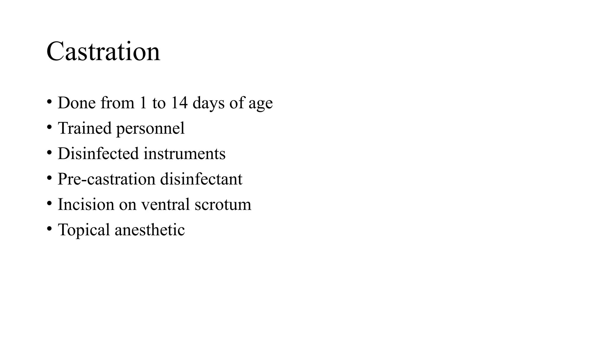 Castration
• Done from 1 to 14 days of age
• Trained personnel
• Disinfected instruments
• Pre-castration disinfectant
• Incision on ventral scrotum
• Topical anesthetic
 