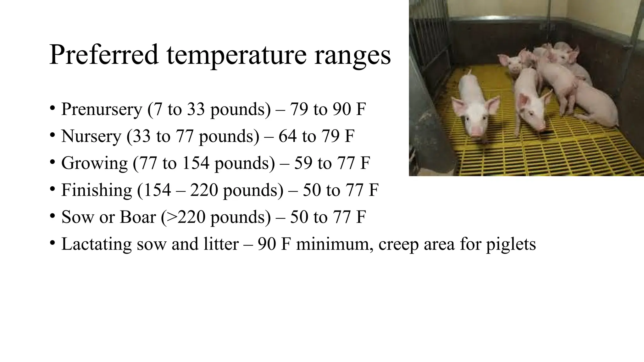 Preferred temperature ranges
• Prenursery (7 to 33 pounds) – 79 to 90 F
• Nursery (33 to 77 pounds) – 64 to 79 F
• Growing (77 to 154 pounds) – 59 to 77 F
• Finishing (154 – 220 pounds) – 50 to 77 F
• Sow or Boar (>220 pounds) – 50 to 77 F
• Lactating sow and litter – 90 F minimum, creep area for piglets
 