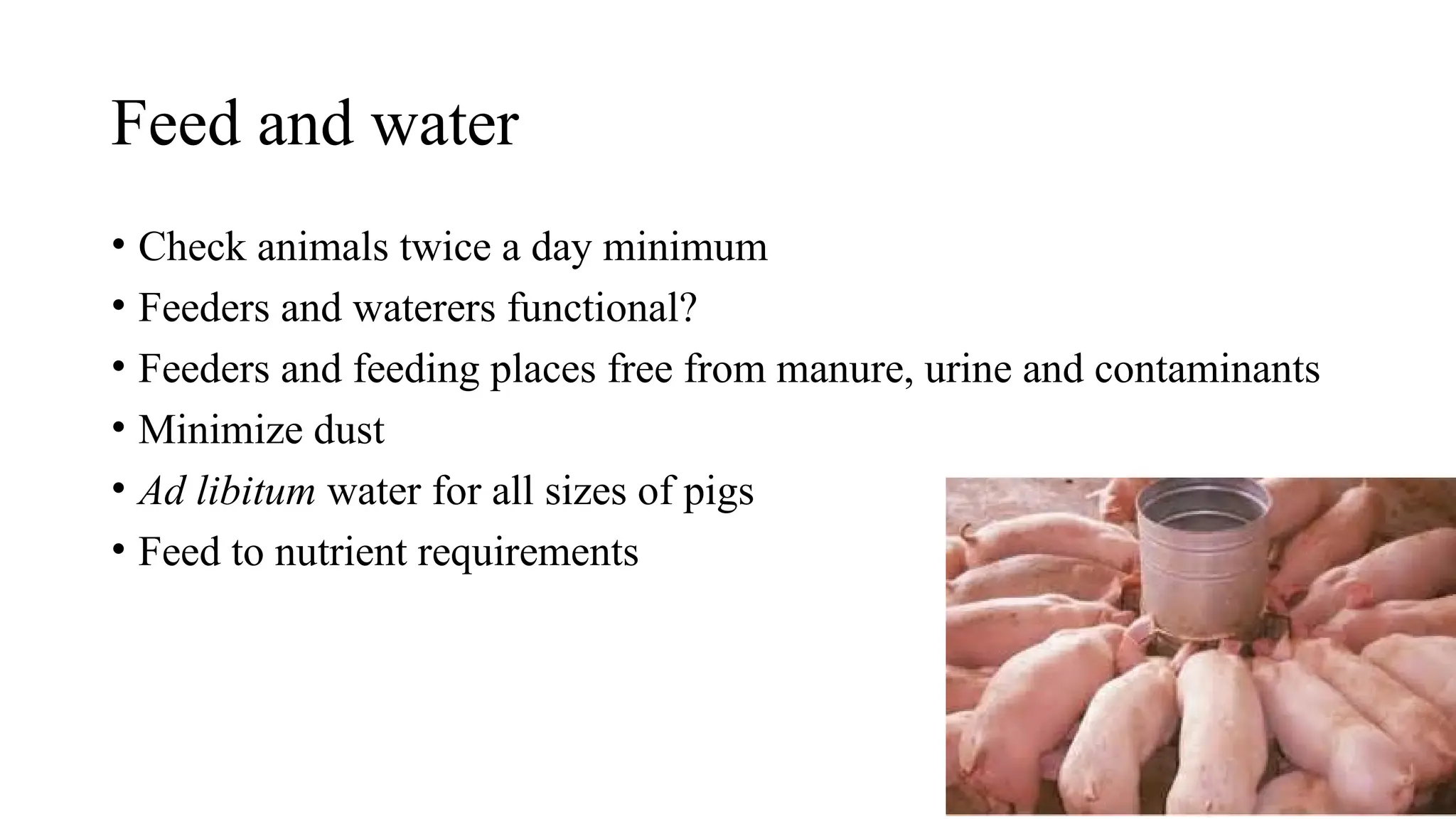 Feed and water
• Check animals twice a day minimum
• Feeders and waterers functional?
• Feeders and feeding places free from manure, urine and contaminants
• Minimize dust
• Ad libitum water for all sizes of pigs
• Feed to nutrient requirements
 
