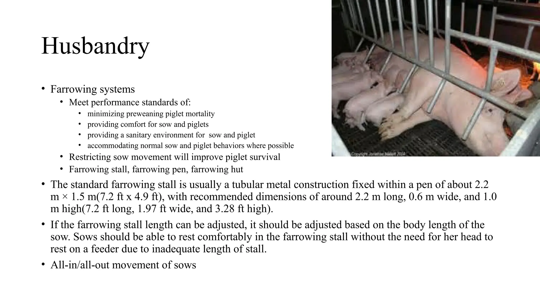 Husbandry
• Farrowing systems
• Meet performance standards of:
• minimizing preweaning piglet mortality
• providing comfort for sow and piglets
• providing a sanitary environment for sow and piglet
• accommodating normal sow and piglet behaviors where possible
• Restricting sow movement will improve piglet survival
• Farrowing stall, farrowing pen, farrowing hut
• The standard farrowing stall is usually a tubular metal construction fixed within a pen of about 2.2
m × 1.5 m(7.2 ft x 4.9 ft), with recommended dimensions of around 2.2 m long, 0.6 m wide, and 1.0
m high(7.2 ft long, 1.97 ft wide, and 3.28 ft high).
• If the farrowing stall length can be adjusted, it should be adjusted based on the body length of the
sow. Sows should be able to rest comfortably in the farrowing stall without the need for her head to
rest on a feeder due to inadequate length of stall.
• All-in/all-out movement of sows
 