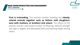 BASICSWINEPRODUCTIONANDMANAGEMENT
PART2.BREEDING
First is in-breeding. This process involves breeding two closely-
related animals together such as fathers with daughters,
sons with mothers, or brothers and sisters. The effects of this
process include a decreased number of offspring, reduced strength
and vigor in piglets, and decreased birth and weaning weight among
others.
 