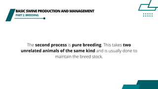BASICSWINEPRODUCTION ANDMANAGEMENT
PART2.BREEDING
The second process is pure breeding. This takes two
unrelated animals of the same kind and is usually done to
maintain the breed stock.
 