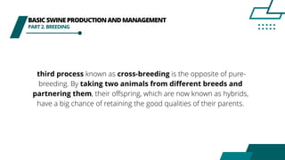 BASICSWINEPRODUCTIONANDMANAGEMENT
PART2.BREEDING
third process known as cross-breeding is the opposite of pure-
breeding. By taking two animals from different breeds and
partnering them, their offspring, which are now known as hybrids,
have a big chance of retaining the good qualities of their parents.
 