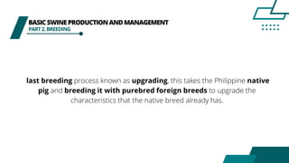 BASICSWINEPRODUCTIONANDMANAGEMENT
PART2.BREEDING
last breeding process known as upgrading, this takes the Philippine native
pig and breeding it with purebred foreign breeds to upgrade the
characteristics that the native breed already has.
 