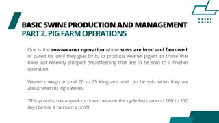 BASICSWINEPRODUCTIONANDMANAGEMENT
PART2.PIGFARMOPERATIONS
One is the sow-weaner operation where sows are bred and farrowed,
or cared for until they give birth, to produce weaner piglets or those that
have just recently stopped breastfeeding that are to be sold to a finisher
operation.
Weaners weigh around 20 to 25 kilograms and can be sold when they are
about seven to eight weeks.
“This process has a quick turnover because the cycle lasts around 160 to 170
days before it can turn a profit.
 
