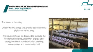 SWINEPRODUCTIONANDMANAGEMENT
PART3.BASICREQUIREMENTS
The basics on housing
One of the first things that should be secured in a
pig farm is its housing.
The housing should be designed to facilitate the
freedom and individual comfort of pigs, labor
saving, herd health and sanitation, bedding
conservation, and manure disposal.
 