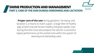SWINEPRODUCTIONANDMANAGEMENT
PART3.CAREOFTHESOWDURINGFARROWINGANDLACTATION
Proper care of the sow during gestation, farrowing, and
lactation is a means to reach a goal—a large litter of healthy
pigs at birth that will remain healthy and grow rapidly. Care
during this time must also prepare the sow for a successful
repeat performance at the earliest time within the system of
weaning and rebreeding used.
 