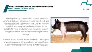 BASICSWINEPRODUCTIONANDMANAGEMENT
PART1.FINDINGTHERIGHTBREED
The Hampshire pig breed is black but has a white or
pink ‘belt’ that runs from its neck to its front feet. It also
has erect ears and slightly small feet. Like the first two
breeds, it also has good mothering abilities and is
suitable for meat production even though its capacity
to appropriate the food it eats into its weight is only
average.
Paulican added that the Hampshire breed can adapt to
any environment or living conditions without affecting
its performance especially during its fattening stage.
 