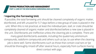 SWINEPRODUCTIONANDMANAGEMENT
PART3.CAREOFTHESOWDURINGFARROWINGANDLACTATION
Preparing the Farrowing Unit.
If possible, the total farrowing unit should be cleaned completely of organic matter,
disinfected, and left unused for 5-7 days before a new group of sows is placed in the
unit. When this is not practical, at least the individual pen, stall, or crate should be
completely cleaned of organic matter and disinfected before a new sow is placed in
the unit. Disinfectants are ineffective unless the cleaning job is complete. There are
many good disinfectants available, including the quaternary ammonium
compounds, iodoform compounds and others such as lye, to use when the cleaning
job is done well. Some disinfectants such as those that contain coal tars or lye
should be thoroughly rinsed off after several hours, especially from surfaces having
direct contact with pigs.
 