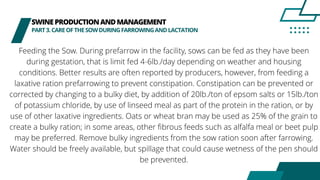 SWINEPRODUCTIONANDMANAGEMENT
PART3.CAREOFTHESOWDURINGFARROWINGANDLACTATION
Feeding the Sow. During prefarrow in the facility, sows can be fed as they have been
during gestation, that is limit fed 4-6lb./day depending on weather and housing
conditions. Better results are often reported by producers, however, from feeding a
laxative ration prefarrowing to prevent constipation. Constipation can be prevented or
corrected by changing to a bulky diet, by addition of 20lb./ton of epsom salts or 15lb./ton
of potassium chloride, by use of linseed meal as part of the protein in the ration, or by
use of other laxative ingredients. Oats or wheat bran may be used as 25% of the grain to
create a bulky ration; in some areas, other fibrous feeds such as alfalfa meal or beet pulp
may be preferred. Remove bulky ingredients from the sow ration soon after farrowing.
Water should be freely available, but spillage that could cause wetness of the pen should
be prevented.
 