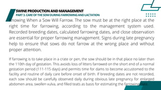 SWINEPRODUCTIONANDMANAGEMENT
PART3.CAREOFTHESOWDURINGFARROWINGANDLACTATION
Knowing When a Sow Will Farrow. The sow must be at the right place at the
right time for farrowing, according to the management system used.
Recorded breeding dates, calculated farrowing dates, and close observation
are essential for proper farrowing management. Signs during late pregnancy
help to ensure that sows do not farrow at the wrong place and without
proper attention.
If farrowing is to take place in a crate or pen, the sow should be in that place no later than
the 110th day of gestation. This avoids loss of litters farrowed on the short end of a normal
gestation period (111-115 days) and permits time for dams to become accustomed to the
facility and routine of daily care before onset of birth. If breeding dates are not recorded,
each sow should be carefully observed daily during obvious late pregnancy for enlarged
abdomen area, swollen vulva, and filled teats as basis for estimating the farrowing date.
 