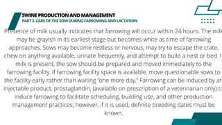 SWINEPRODUCTIONANDMANAGEMENT
PART3.CAREOFTHESOWDURINGFARROWINGANDLACTATION
Presence of milk usually indicates that farrowing will occur within 24 hours. The milk
may be grayish in its earliest stage but becomes white as time of farrowing
approaches. Sows may become restless or nervous, may try to escape the crate,
chew on anything available, urinate frequently, and attempt to build a nest or bed. If
milk is present, the sow should be prepared and moved immediately to the
farrowing facility. If farrowing facility space is available, move questionable sows to
the facility early rather than waiting “one more day.” Farrowing can be induced by an
injectable product, prostaglandin, (available on prescription of a veterinarian only) to
induce farrowing to facilitate scheduling, building use, and other production
management practices; however, if it is used, definite breeding dates must be
known.
 