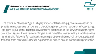 SWINEPRODUCTIONANDMANAGEMENT
PART3.CAREOFTHESOWDURINGFARROWINGANDLACTATION
Nutrition of Newborn Pigs. It is highly important that each pig receive colostrum to
provide immediate and temporary protection against common bacterial infections. Pigs
are born into a hostile bacterial environment. Antibodies in the sow’s milk are the best
protection against these bacteria. Proper nutrition of the sow, including a laxative ration
prior to and following farrowing; maintaining proper environmental temperature; and
freedom from contagious disease organisms all help to ensure normal milk production.
 