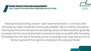 SWINEPRODUCTIONANDMANAGEMENT
PART3.CAREOFTHESOWDURINGFARROWINGANDLACTATION
Feeding the Sow During Lactation. Sows need not be fed for 12-24 hours after
farrowing, but water should be continuously available. Two or three lb. of a laxative
feed may be fed at the first post-farrow feeding; amount of feed should be gradually
increased until the maximal feed level is reached as soon as possible after farrowing.
Full feeding from the day of farrowing can be successfully used. Sows that are thin at
farrow may benefit from generous feeding in the early post-farrow.
 