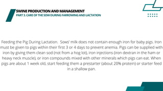 SWINEPRODUCTIONANDMANAGEMENT
PART3.CAREOFTHESOWDURINGFARROWINGANDLACTATION
Feeding the Pig During Lactation. Sows’ milk does not contain enough iron for baby pigs. Iron
must be given to pigs within their first 3 or 4 days to prevent anemia. Pigs can be supplied with
iron by giving them clean sod (not from a hog lot), iron injections (iron dextran in the ham or
heavy neck muscle), or iron compounds mixed with other minerals which pigs can eat. When
pigs are about 1 week old, start feeding them a prestarter (about 20% protein) or starter feed
in a shallow pan.
 