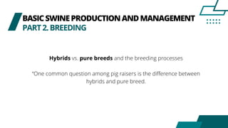 BASICSWINEPRODUCTIONANDMANAGEMENT
PART2.BREEDING
Hybrids vs. pure breeds and the breeding processes
“One common question among pig raisers is the difference between
hybrids and pure breed.
 