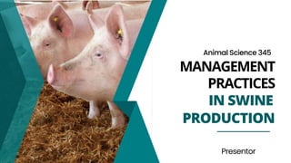PRACTICES
IN SWINE
PRODUCTION
Animal Science 345
MANAGEMENT
Presentor
 