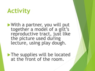 Activity
With a partner, you will put
together a model of a gilt’s
reproductive tract, just like
the picture used during
lecture, using play dough.
The supplies will be located
at the front of the room.
 