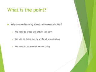 What is the point?
 Why are we learning about swine reproduction?
• We need to breed the gilts in the barn
• We will be doing this by artificial insemination
• We need to know what we are doing
 