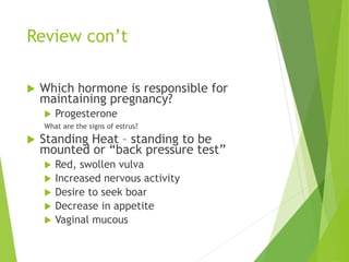 Review con’t
 Which hormone is responsible for
maintaining pregnancy?
 Progesterone
What are the signs of estrus?
 Standing Heat – standing to be
mounted or “back pressure test”
 Red, swollen vulva
 Increased nervous activity
 Desire to seek boar
 Decrease in appetite
 Vaginal mucous
 