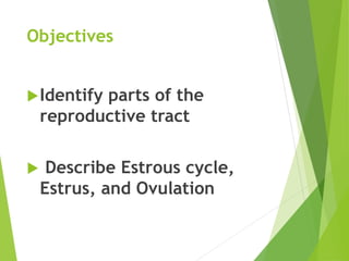 Objectives
Identify parts of the
reproductive tract
 Describe Estrous cycle,
Estrus, and Ovulation
 