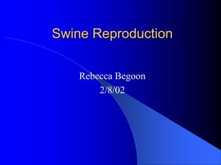 Swine Reproduction
Rebecca Begoon
2/8/02
 