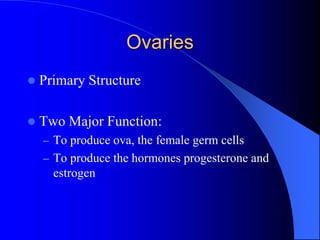 Swine Production and Classes - Animal Production.ppt