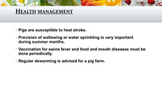 HEALTH MANAGEMENT
 Pigs are susceptible to heat stroke.
 Provision of wallowing or water sprinkling is very important
during summer months.
 Vaccination for swine fever and food and mouth diseases must be
done periodically.
 Regular deworming is advised for a pig farm.
 