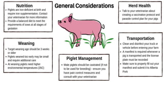 Swine production in intedrated farming system(2018042069)