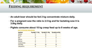 FEEDING REQUIREMENT
 An adult boar should be fed 2 kg concentrate mixture daily.
 For a pregnant sow the ratio is 2.5 kg and for lactating sow it is
3.0kg daily.
 Piglets consume about 10 kg creep feed up to 8 weeks of age.
 